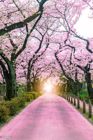 Sakura - GoodKarma Schmuck